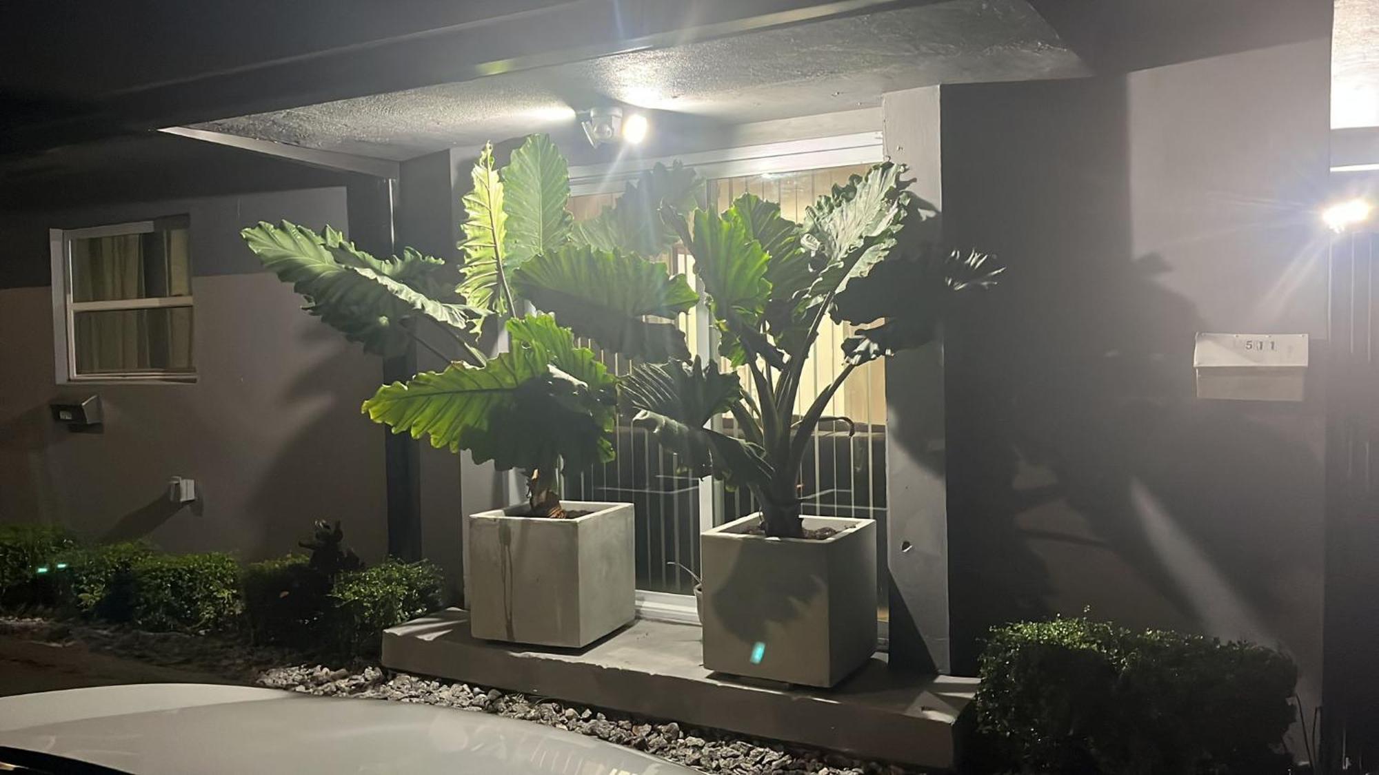 Beautiful, Fully Furnished 4Bed 2Bath House - 5 Minute Walk To Miracle Mile Downtown Coral Gables Villa Miami Buitenkant foto